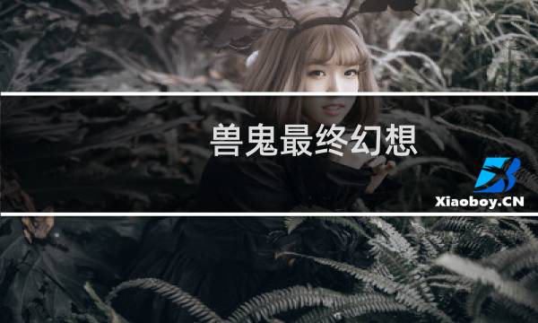 兽鬼最终幻想