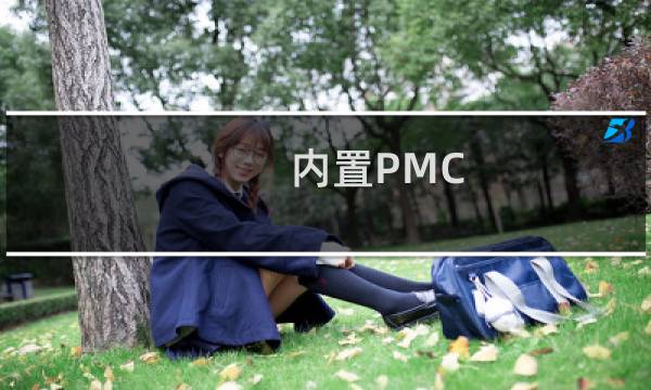内置PMC 和独立PMC区别