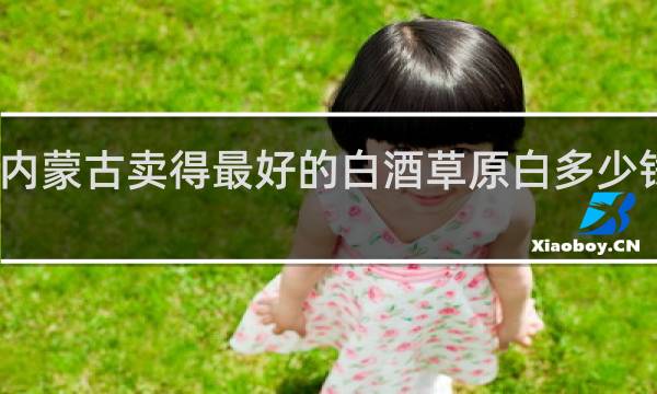内蒙古卖得最好的白酒草原白多少钱一斤