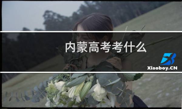 内蒙高考考什么