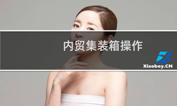 内贸集装箱操作