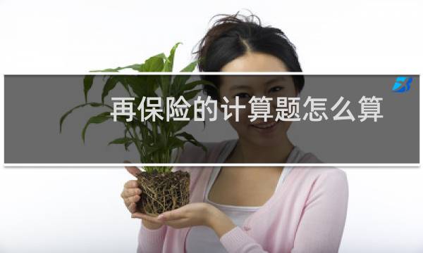 再保险的计算题怎么算