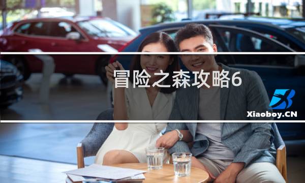 冒险之森攻略6