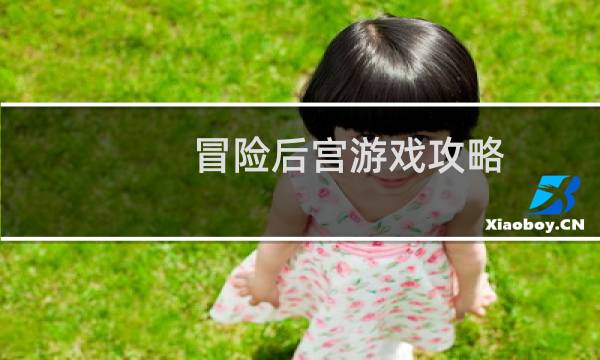 冒险后宫游戏攻略
