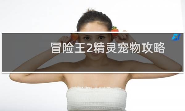 冒险王2精灵宠物攻略