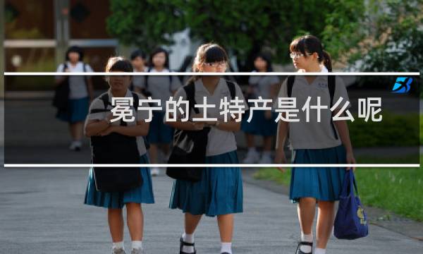 冕宁的土特产是什么呢