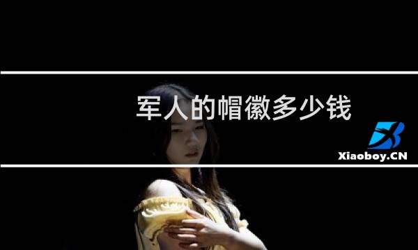 军人的帽徽多少钱
