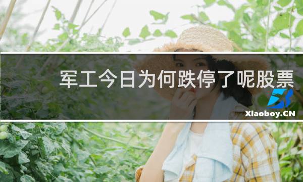 军工今日为何跌停了呢股票