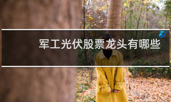 军工光伏股票龙头有哪些
