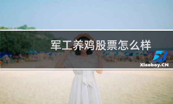 军工养鸡股票怎么样
