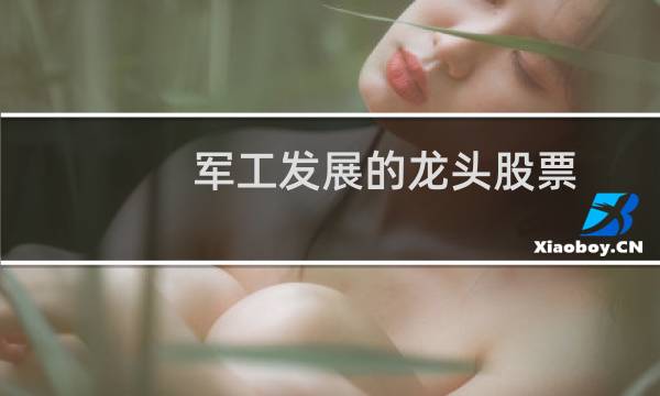 军工发展的龙头股票