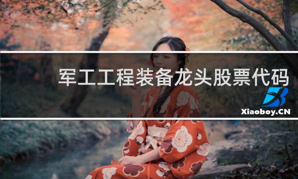 军工工程装备龙头股票代码