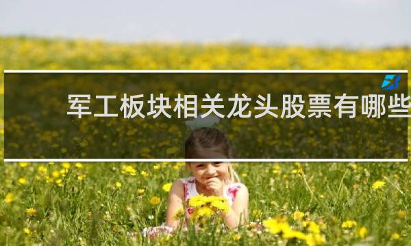 军工板块相关龙头股票有哪些