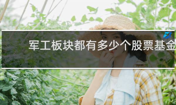军工板块都有多少个股票基金