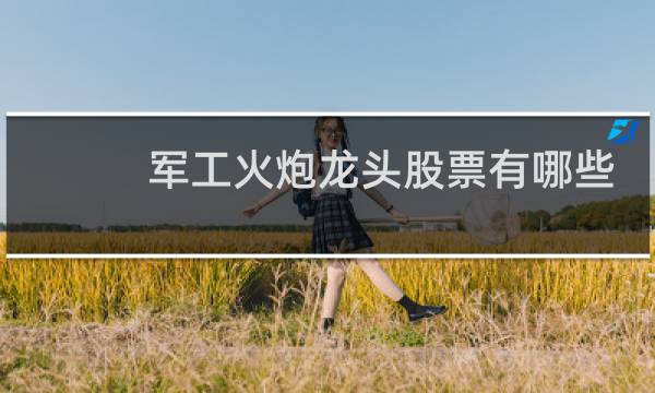 军工火炮龙头股票有哪些