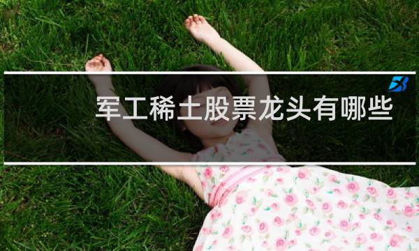 军工稀土股票龙头有哪些