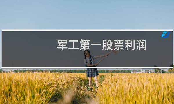 军工第一股票利润