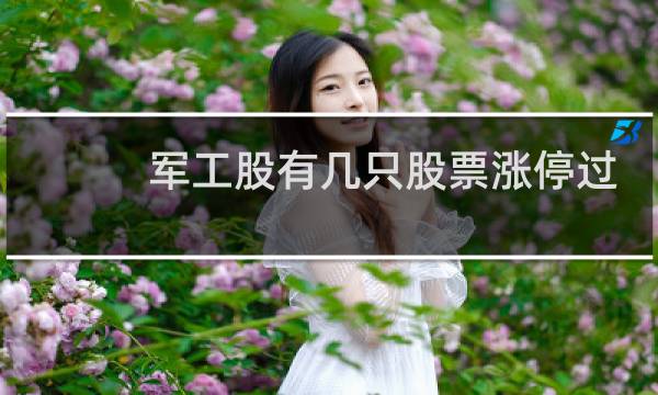 军工股有几只股票涨停过