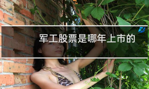 军工股票是哪年上市的