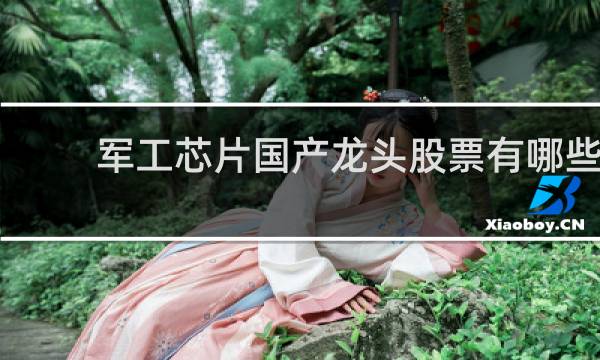 军工芯片国产龙头股票有哪些