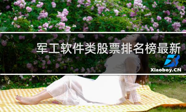 军工软件类股票排名榜最新