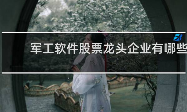 军工软件股票龙头企业有哪些