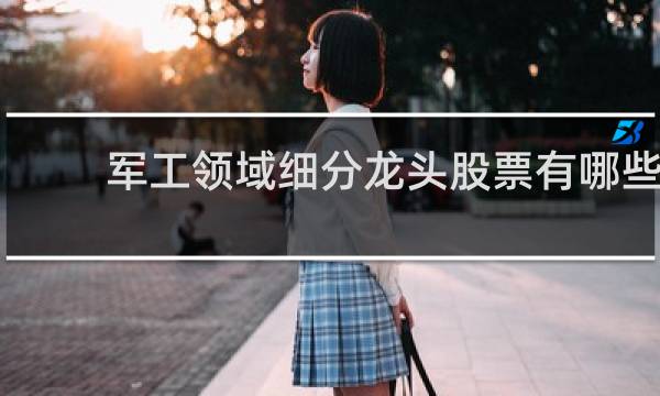 军工领域细分龙头股票有哪些