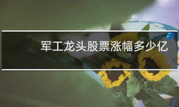 军工龙头股票涨幅多少亿