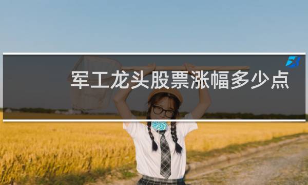 军工龙头股票涨幅多少点