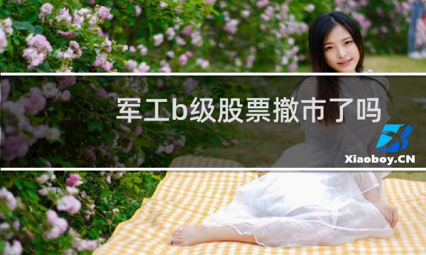 军工b级股票撤市了吗