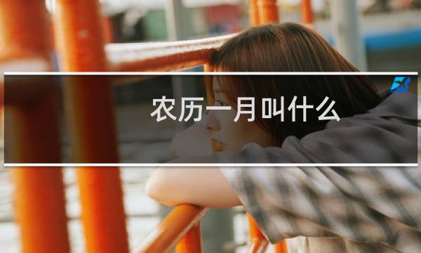 农历一月叫什么