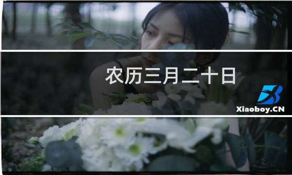 农历三月二十日