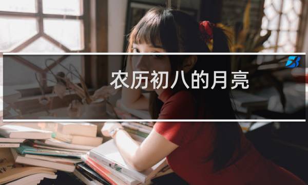 农历初八的月亮