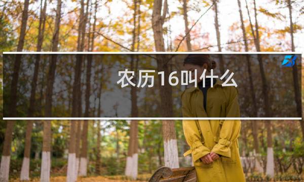 农历16叫什么