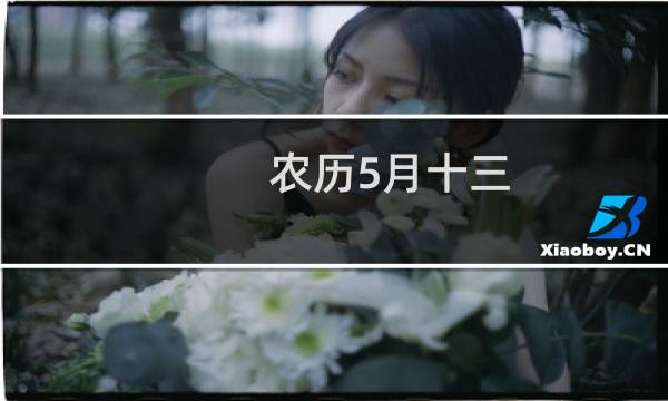 农历5月十三