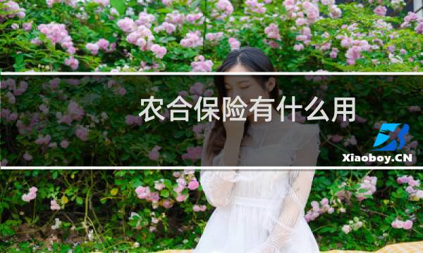 农合保险有什么用