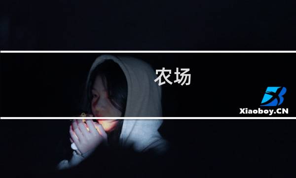 农场 小镇的游戏攻略