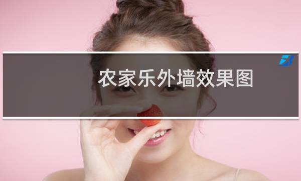 农家乐外墙效果图