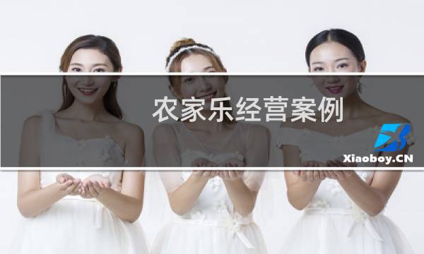 农家乐经营案例