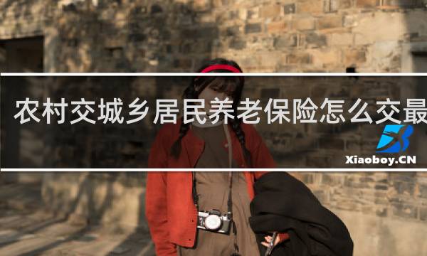 农村交城乡居民养老保险怎么交最划算