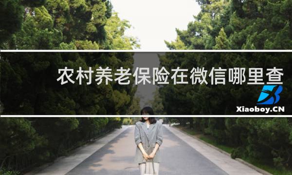 农村养老保险在微信哪里查