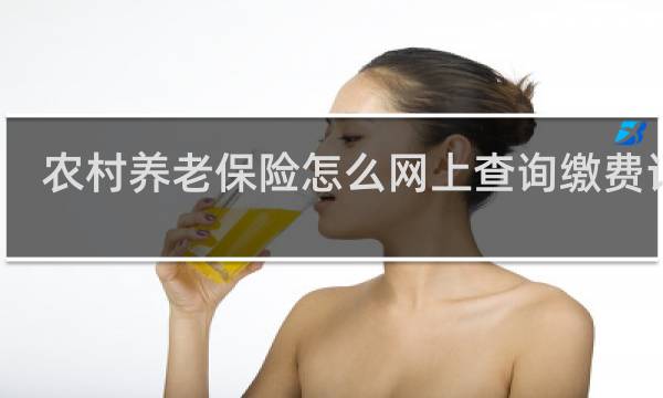 农村养老保险怎么网上查询缴费记录