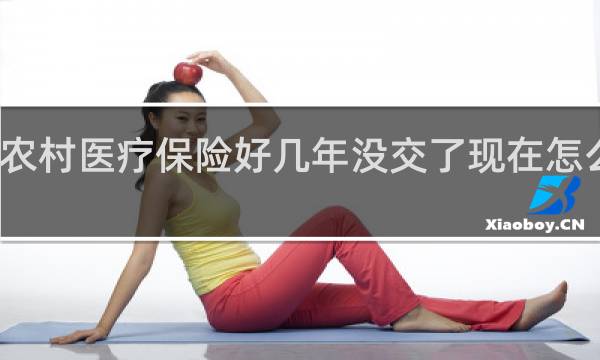 农村医疗保险好几年没交了现在怎么交法
