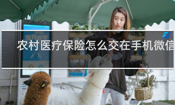 农村医疗保险怎么交在手机微信上