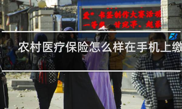 农村医疗保险怎么样在手机上缴费