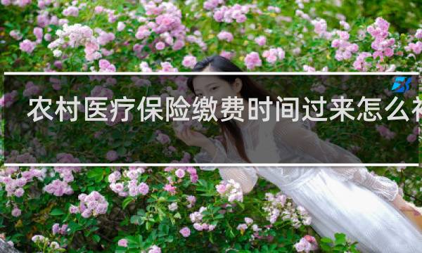 农村医疗保险缴费时间过来怎么补交