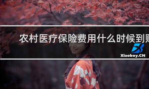 农村医疗保险费用什么时候到账