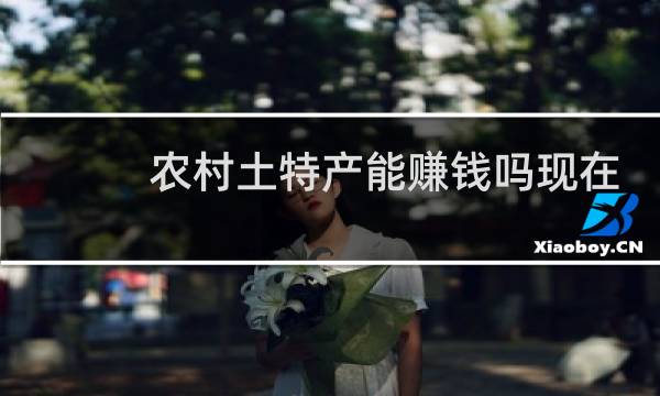 农村土特产能赚钱吗现在