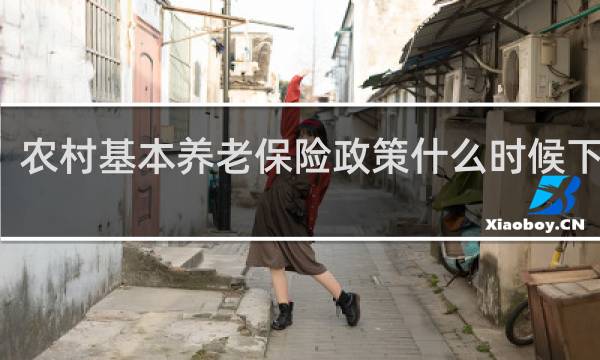 农村基本养老保险政策什么时候下来的