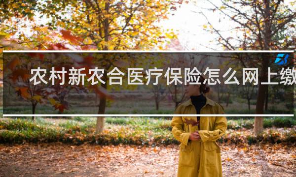 农村新农合医疗保险怎么网上缴费